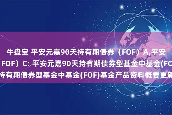 牛盘宝 平安元嘉90天持有期债券（FOF）A,平安元嘉90天持有期债券（FOF）C: 平安元嘉90天持有期债券型基金中基金(FOF)基金产品资料概要更新