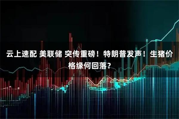 云上速配 美联储 突传重磅！特朗普发声！生猪价格缘何回落？