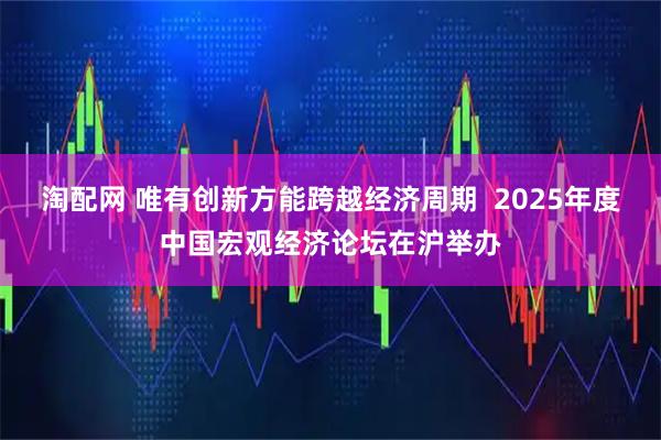淘配网 唯有创新方能跨越经济周期  2025年度中国宏观经济论坛在沪举办